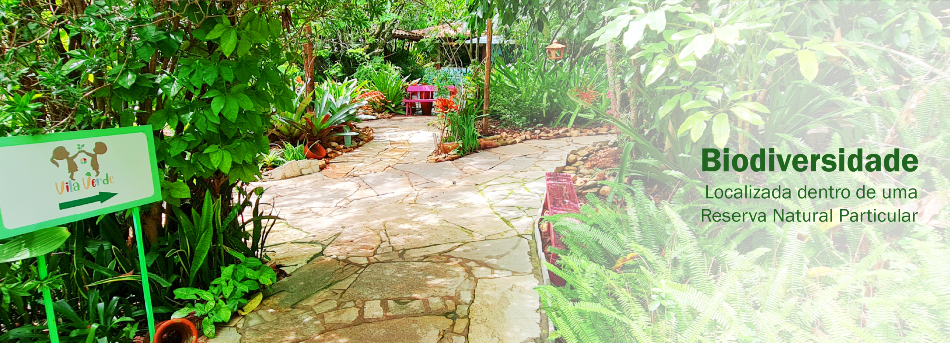 Biodiversidade-01